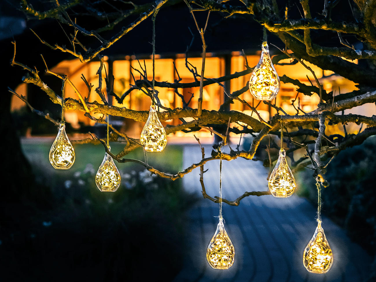 Illuminating the Season: The Charm of Christmas Decorations and Lights